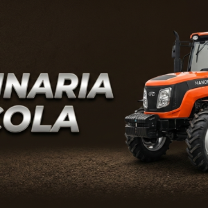 Producto de Ejemplo 3