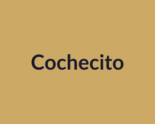 Cochecito de paseo 3 en 1