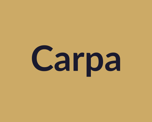 Carpa infantil plegable