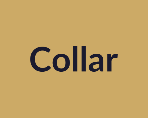 Collar antipulgas para gatos
