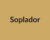 Soplador de hojas inalámbrico